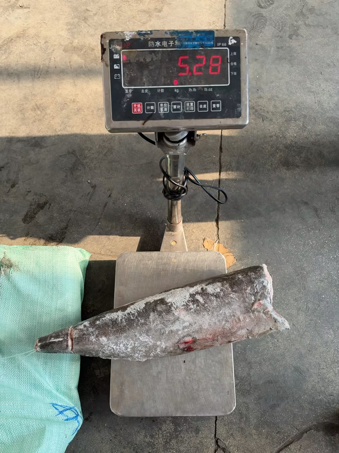 Piel suave del pez aceite congelado (Lepidocybium flavobrunneum)