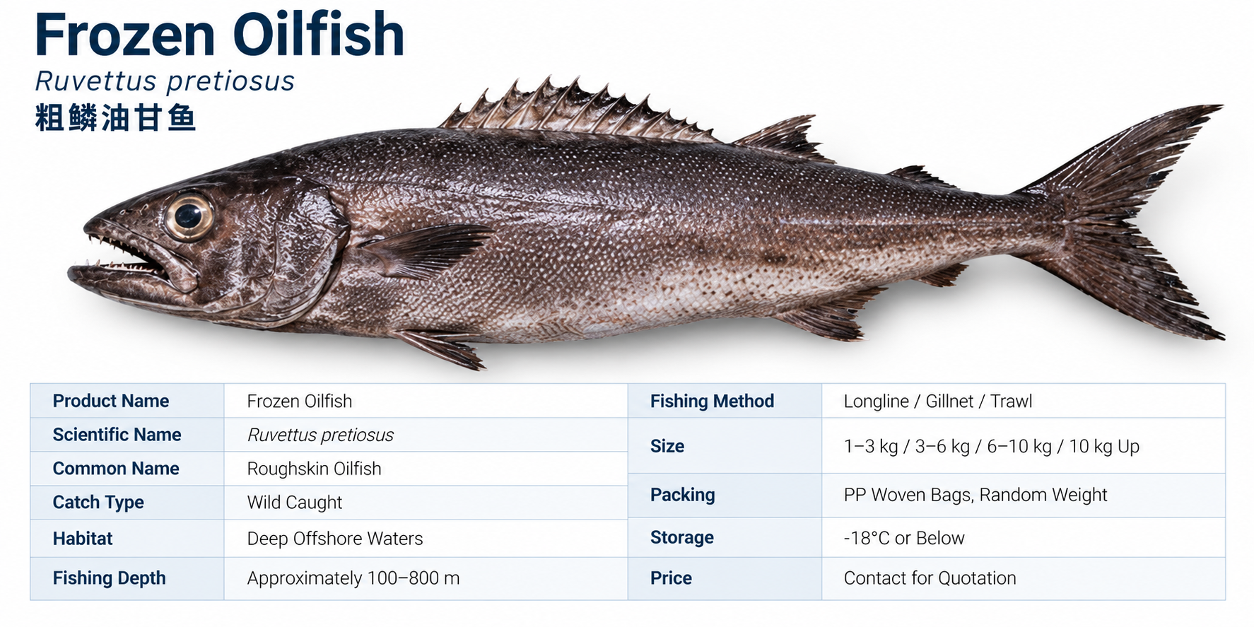 Tabla de especificaciones del producto hamachi congelado de escamas gruesas.png