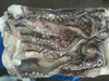 cabeza de calamar