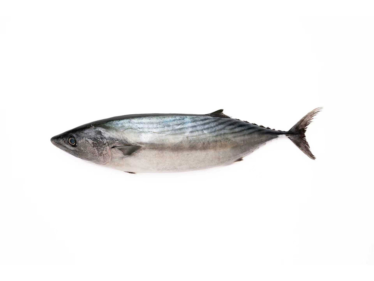 At&uacute;n listado