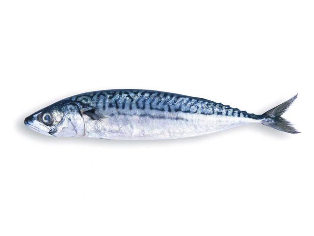Caballa