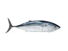 Caballa