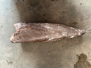 Pescado azul congelado de piel resbaladiza (Lepidocybium flavobrunneum)